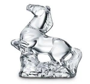 Clear Zodiac Horse 2014