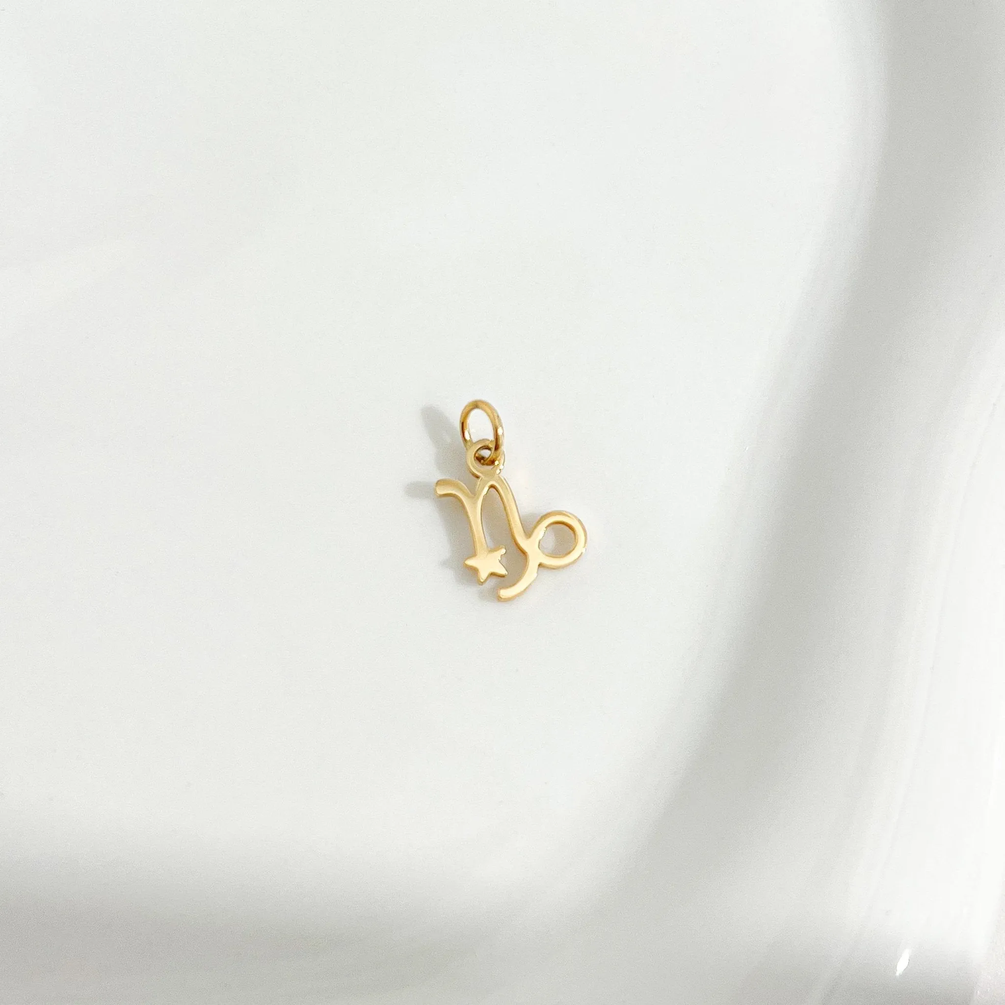 Dainty Zodiac Gold Necklace