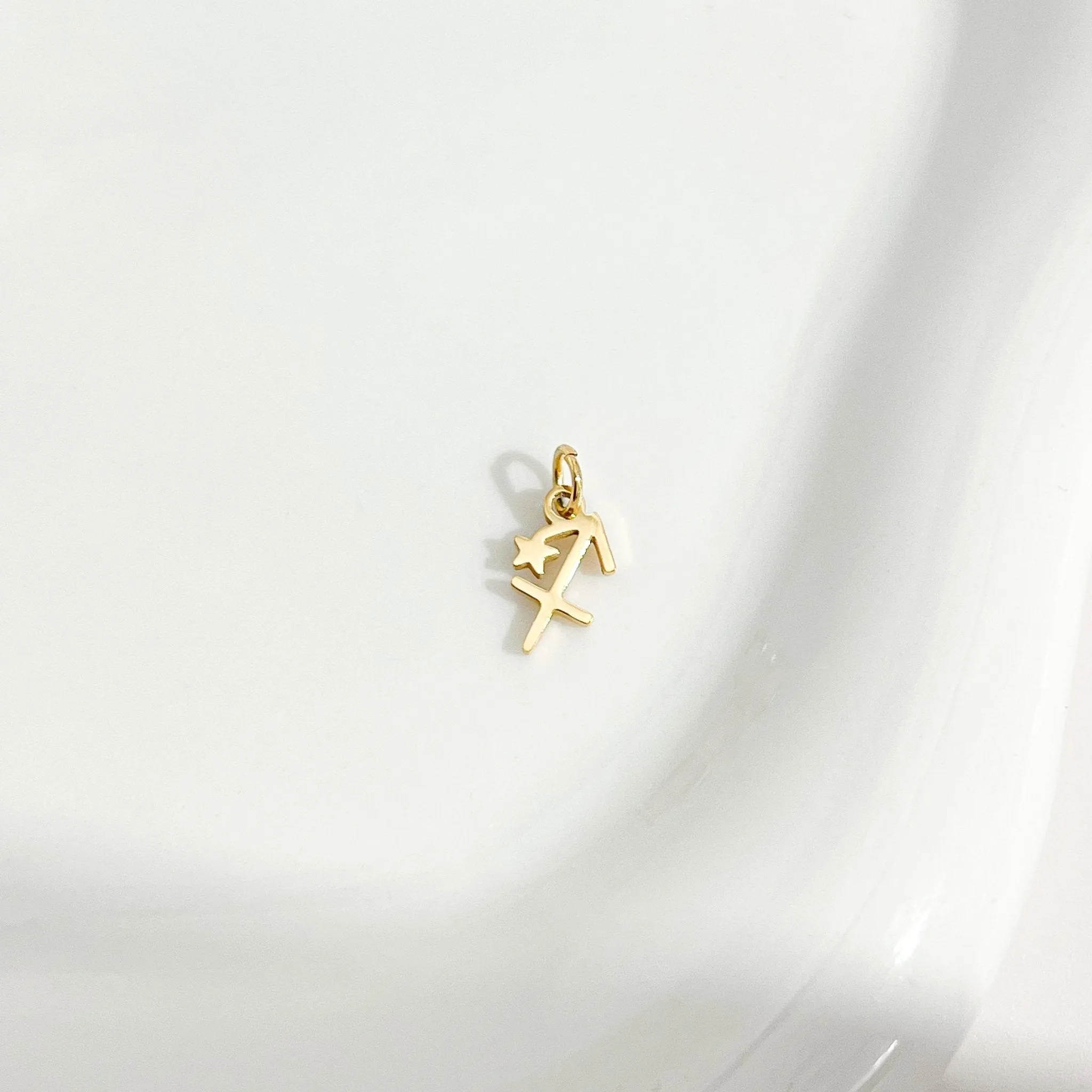 Dainty Zodiac Gold Necklace