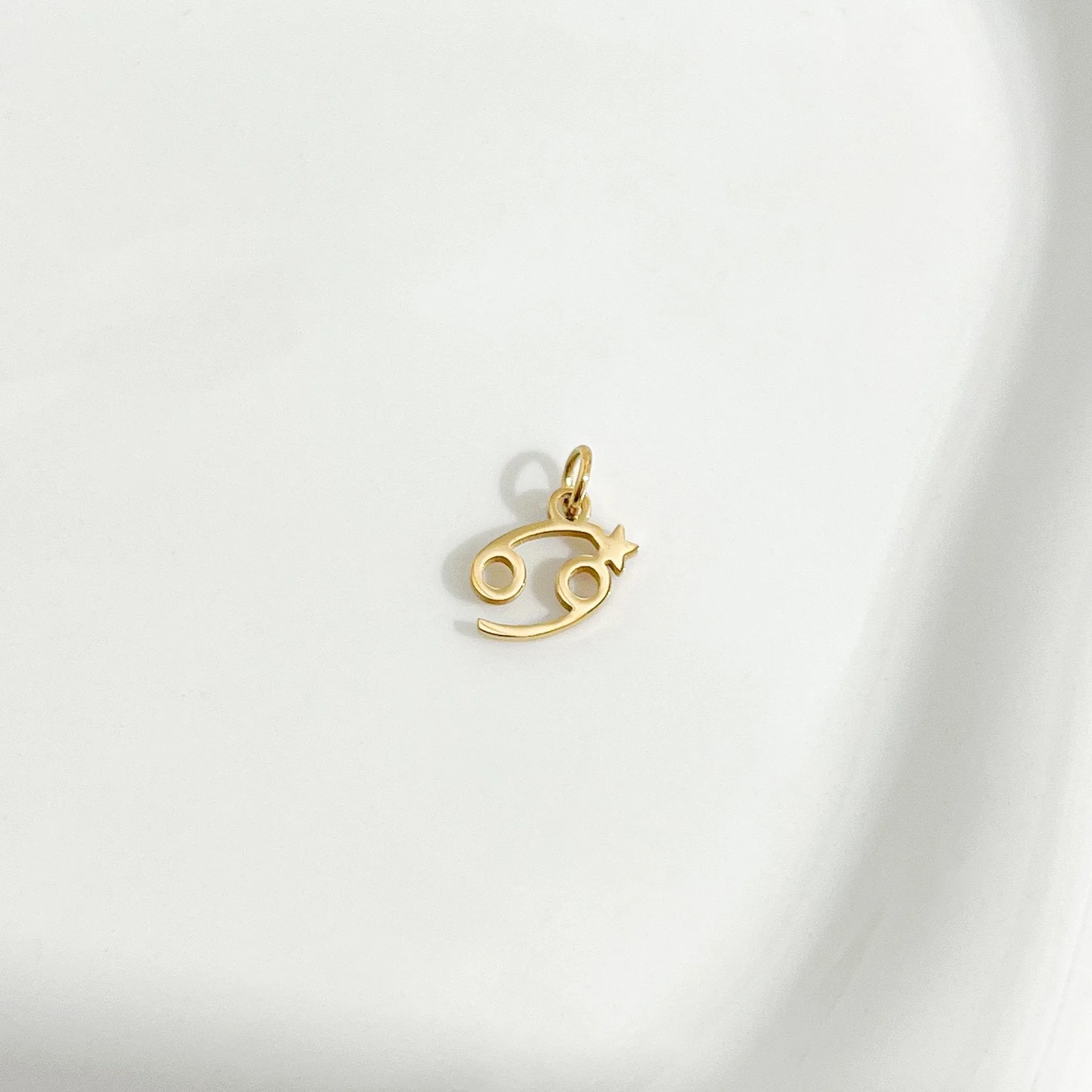 Dainty Zodiac Gold Necklace