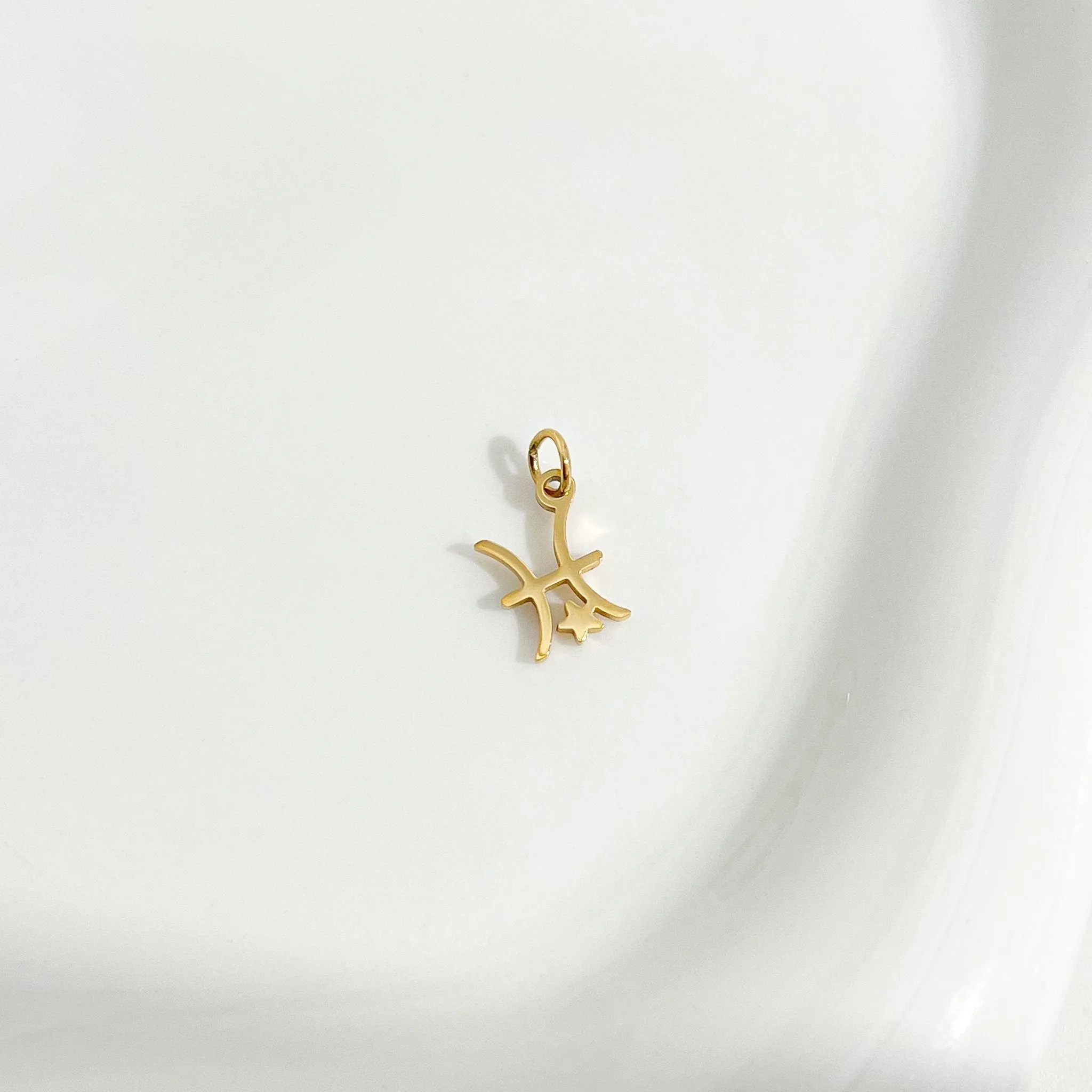 Dainty Zodiac Gold Necklace