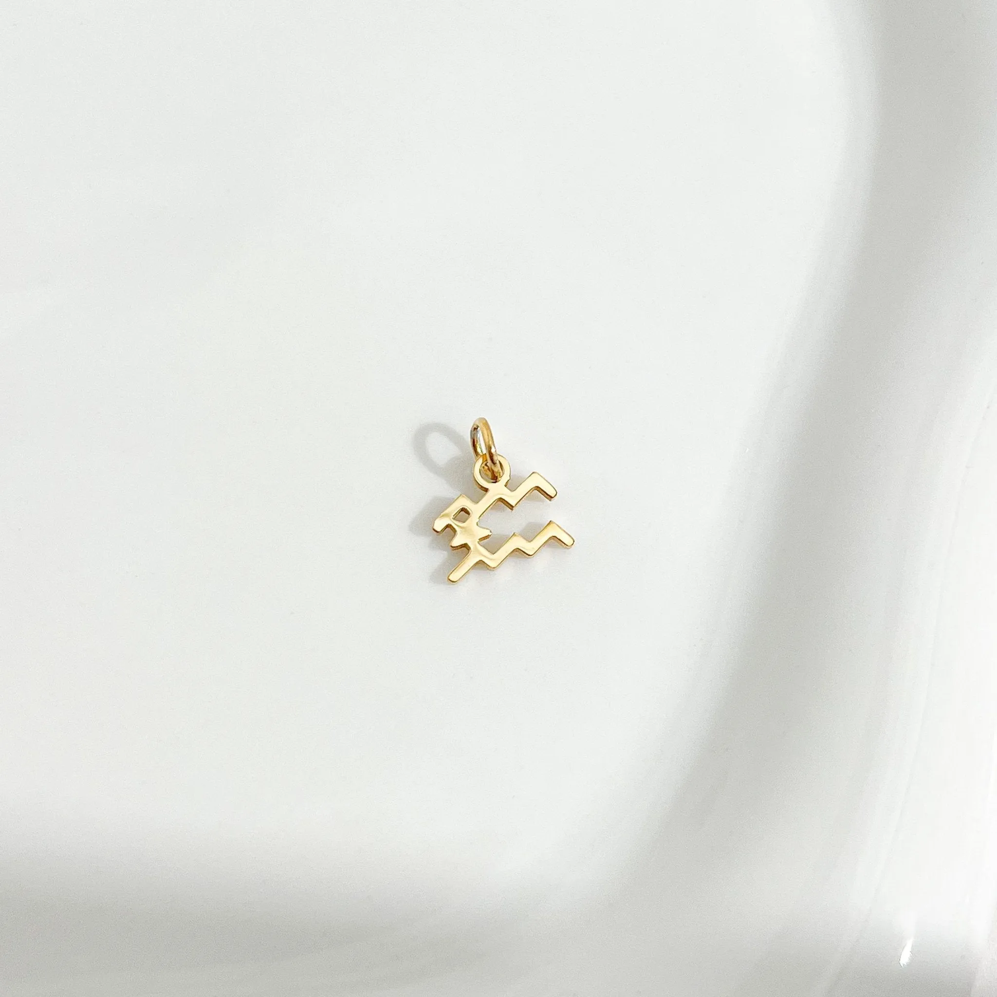 Dainty Zodiac Gold Necklace