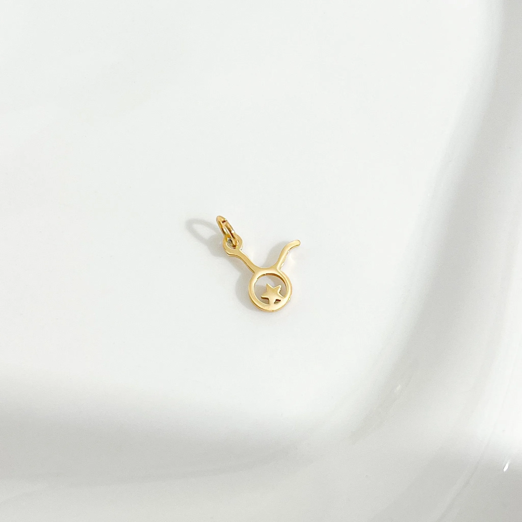 Dainty Zodiac Gold Necklace