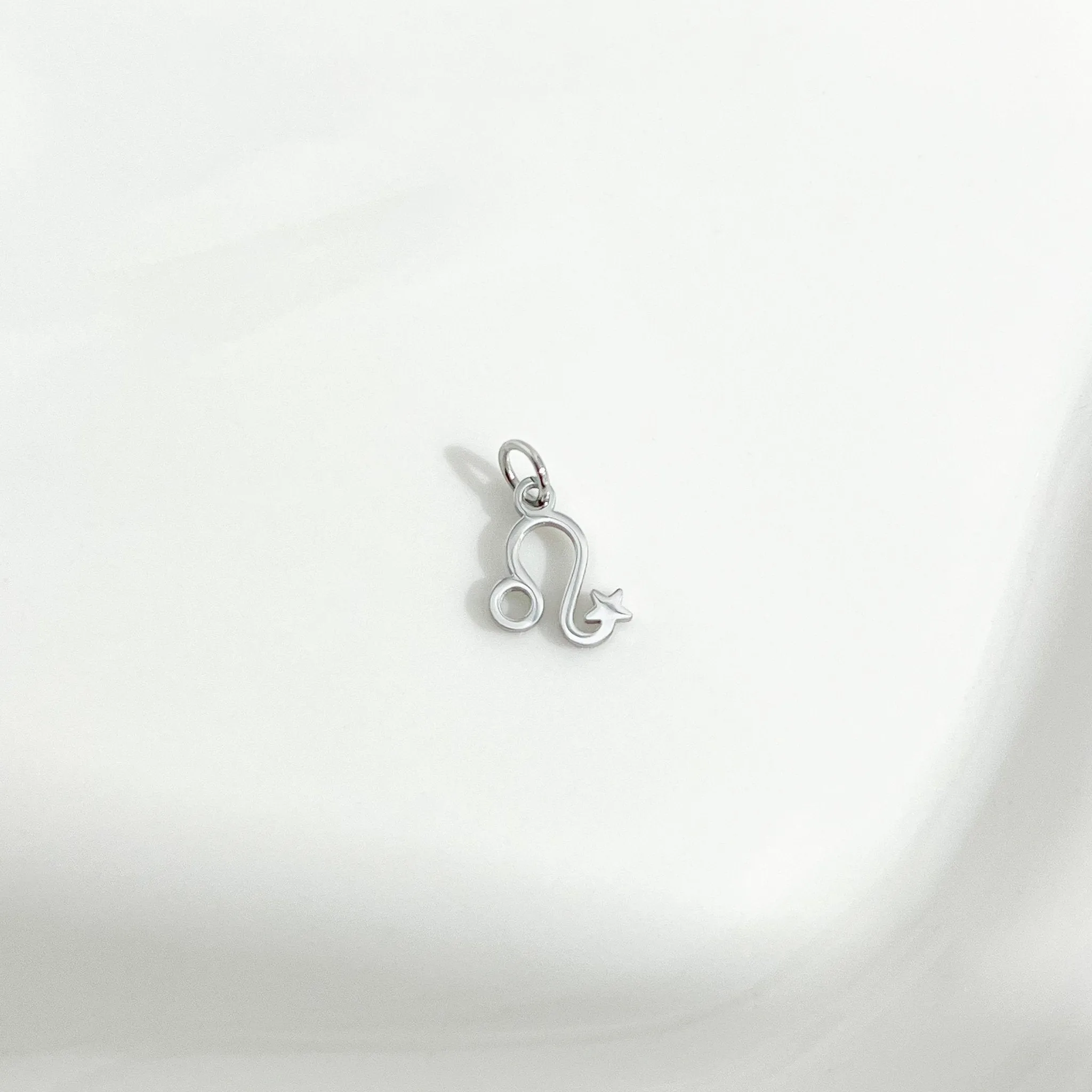 Dainty Zodiac Silver Necklace