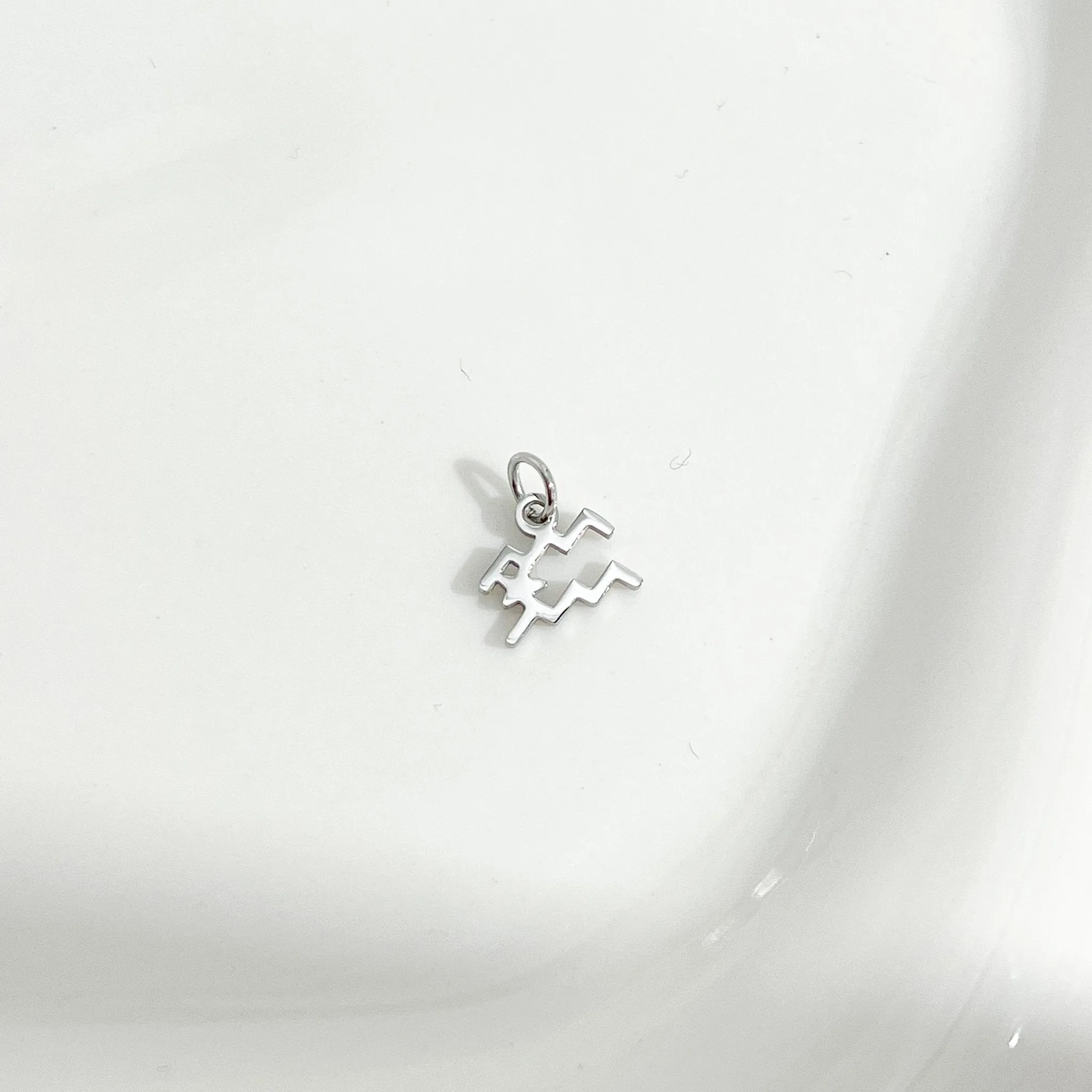 Dainty Zodiac Silver Necklace