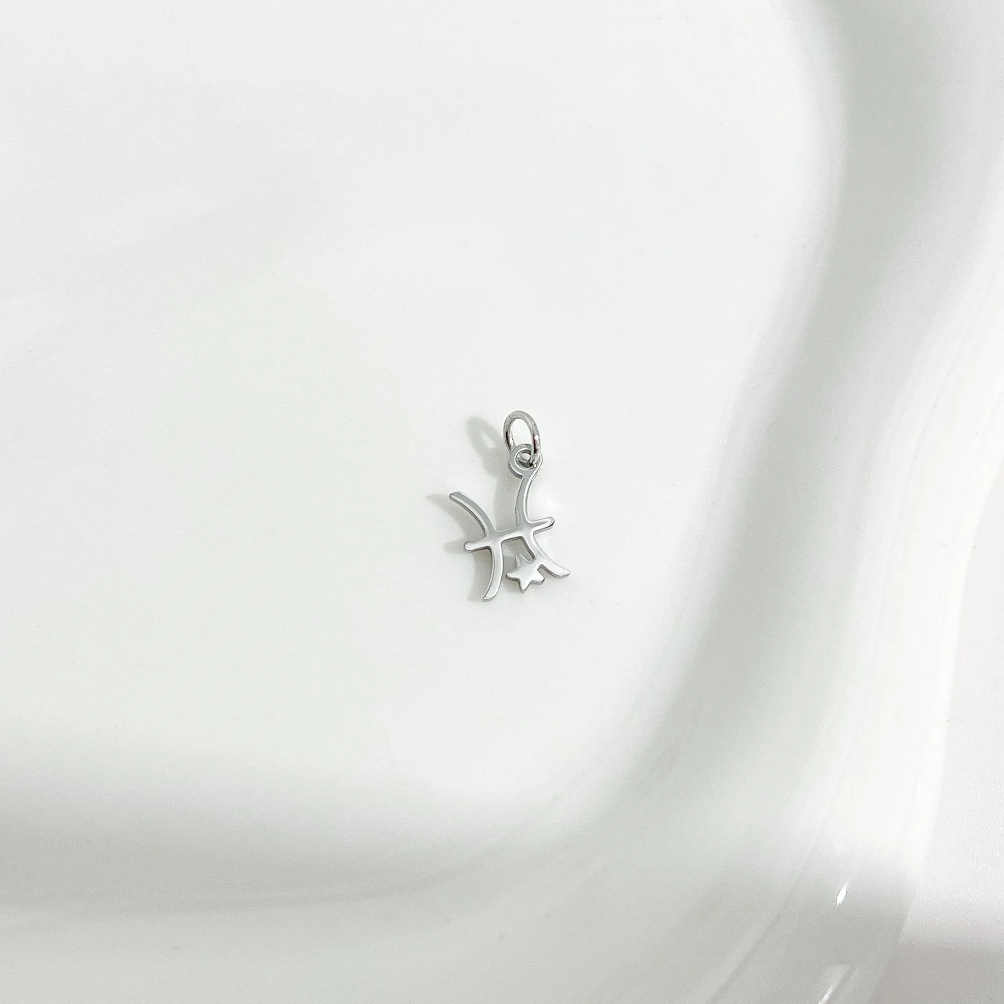 Dainty Zodiac Silver Necklace