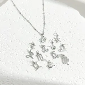 Dainty Zodiac Silver Necklace