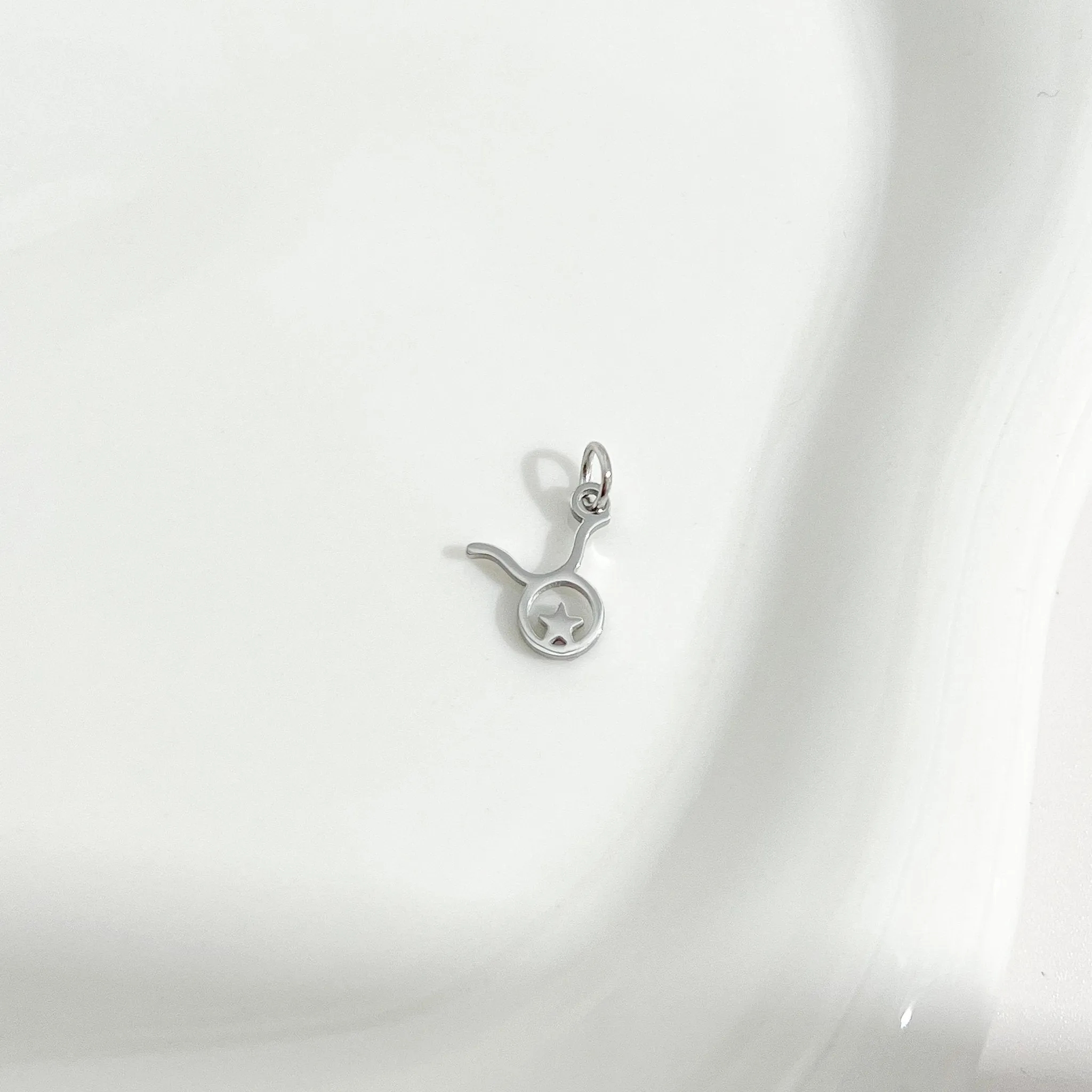 Dainty Zodiac Silver Necklace